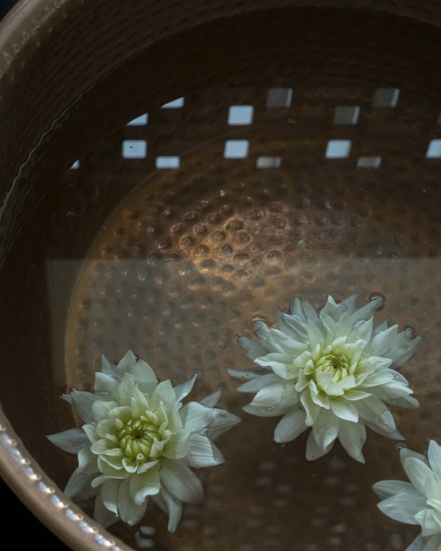 Close-up of fresh white flowers floating in water in copper bowls