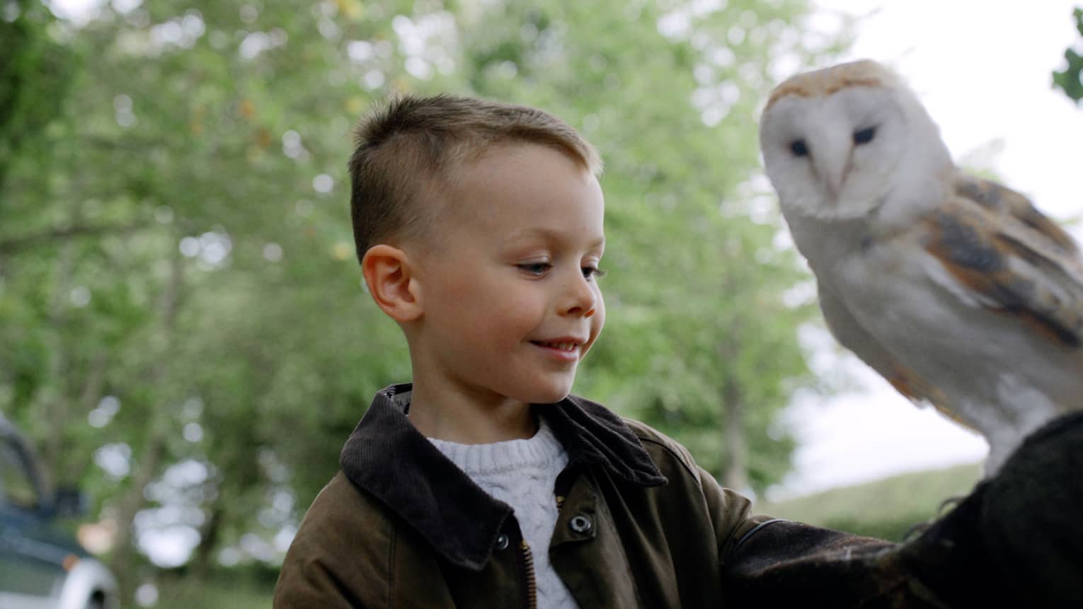 Child smiling with white owl perched on his forearm