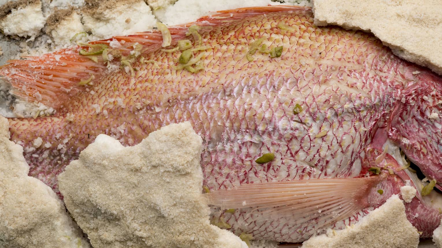 A salt crusted red fish with herbs on it 