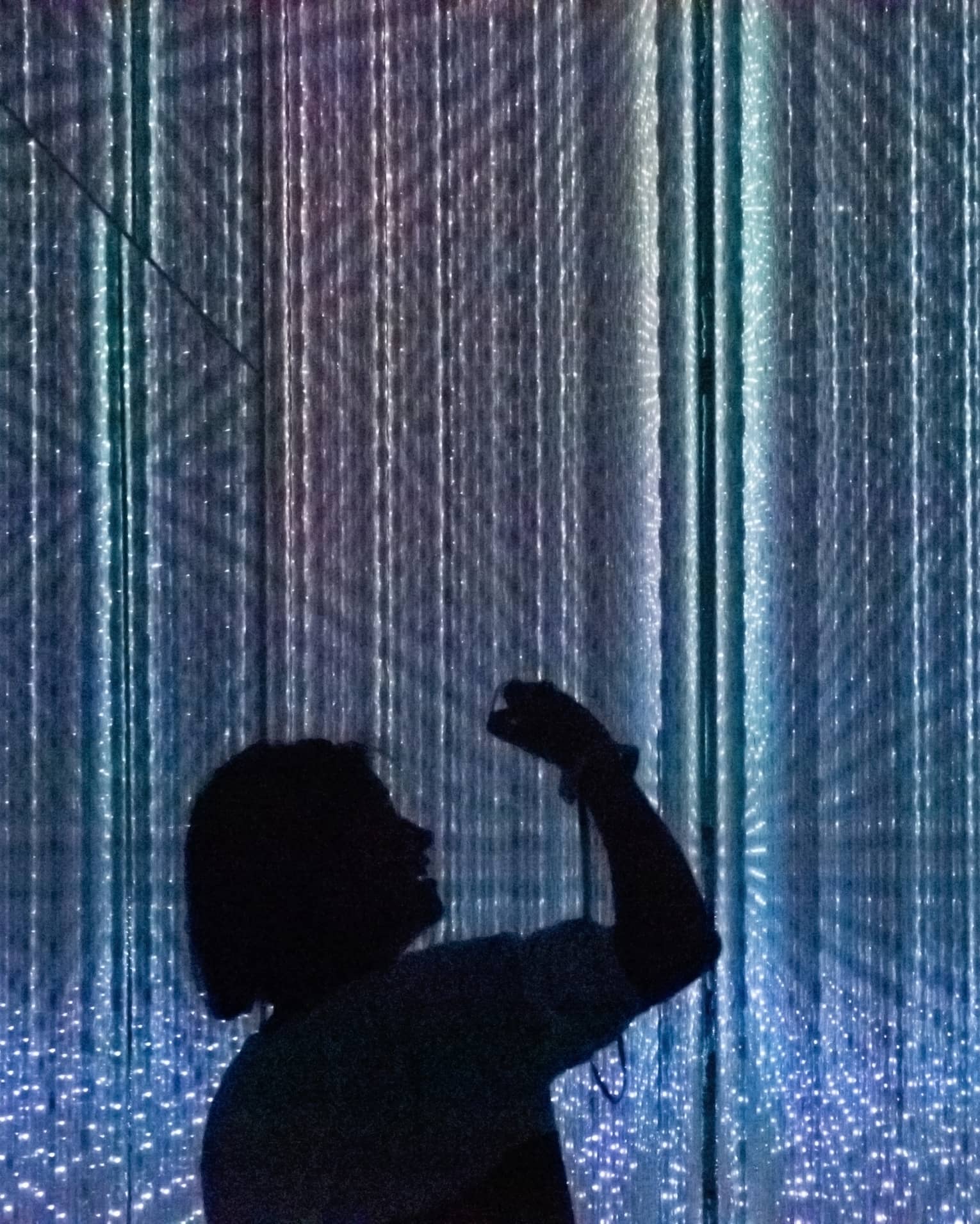 Silhouettes of people enjoying the digital art exhibit at Teamlab Planet