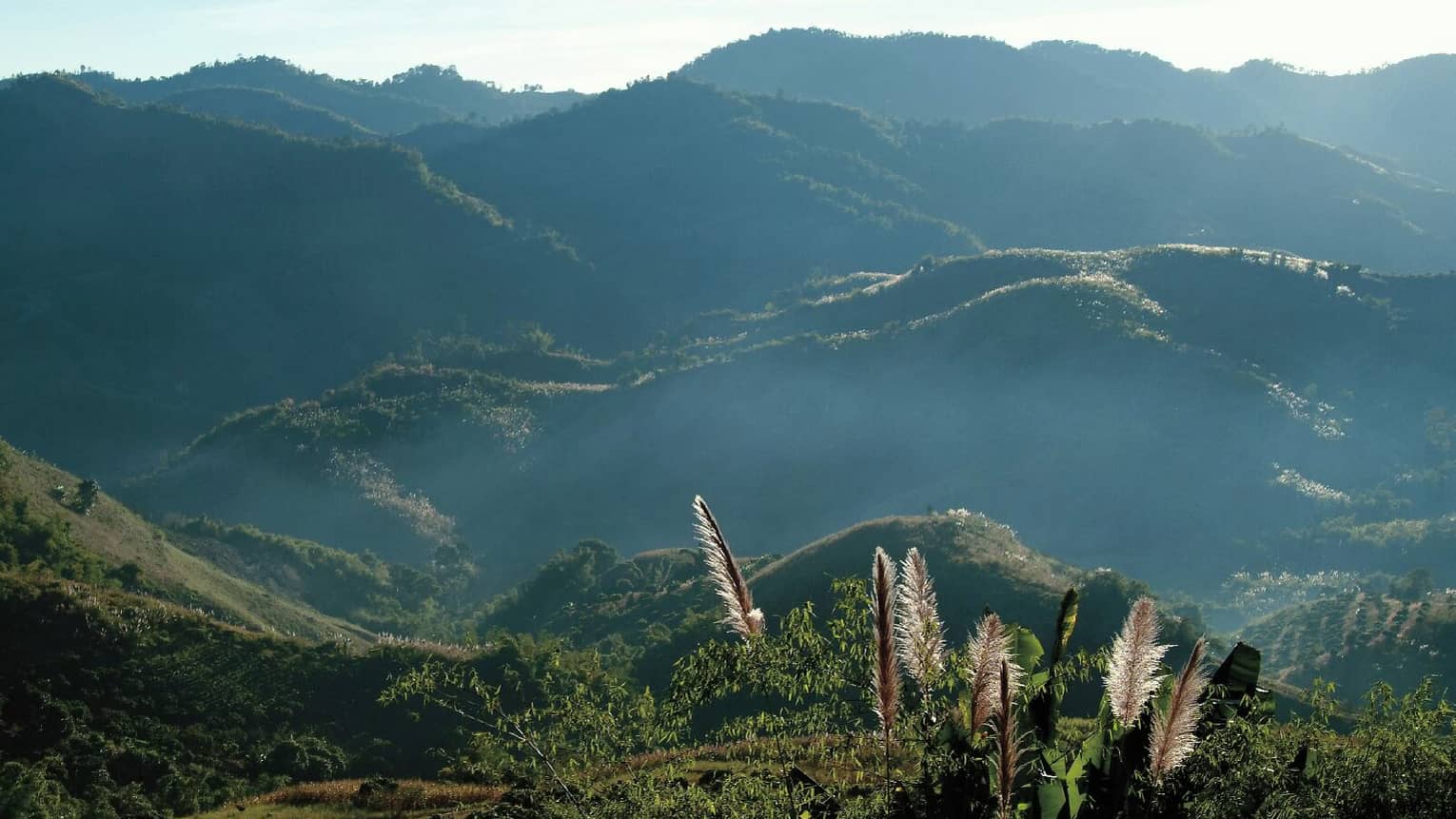 Looking down at misty mountain range, tropical forest in low sun