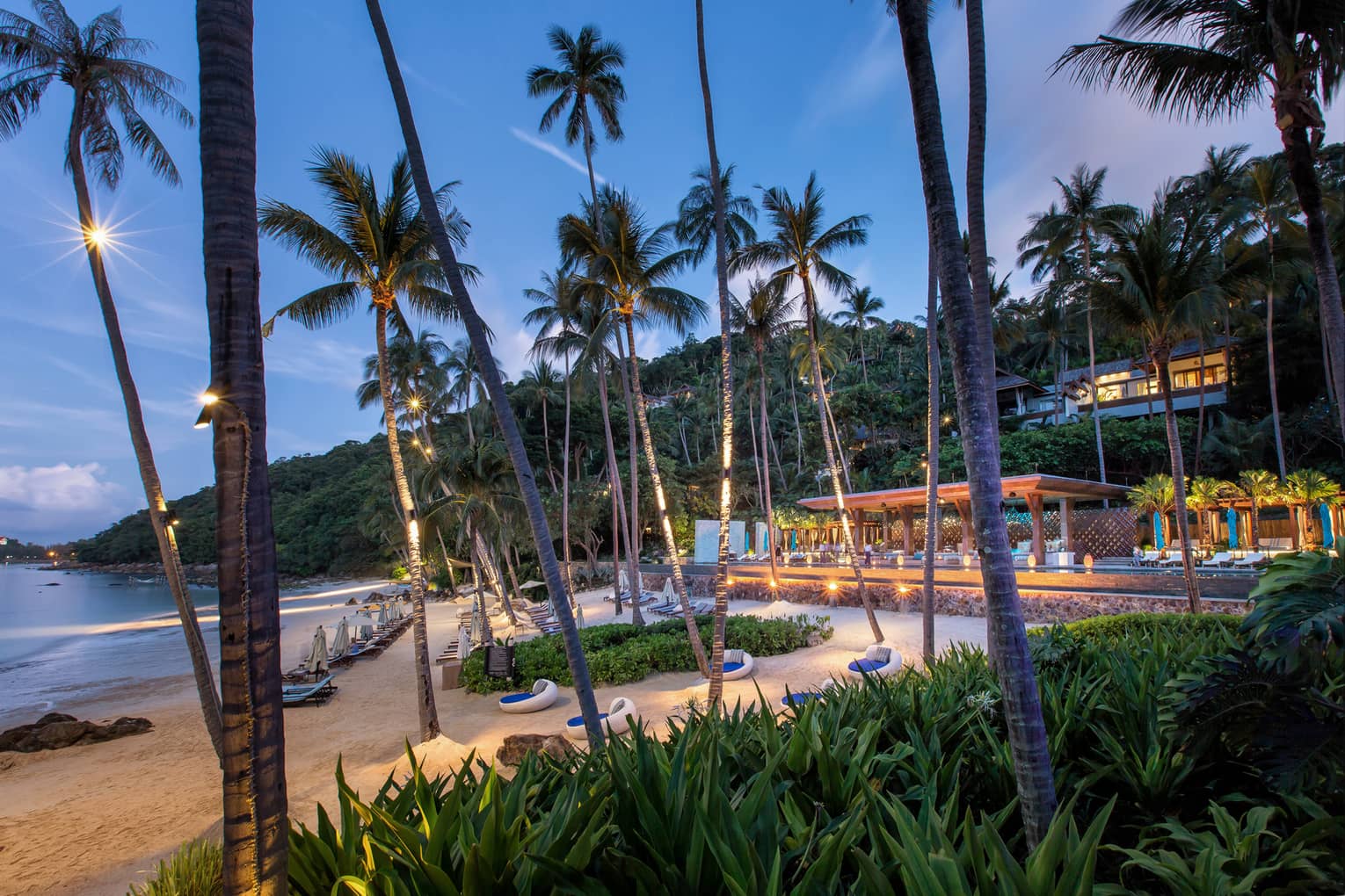 Tall palm trees, lounge chairs on white sand beach in front of CoCoRum bar at night