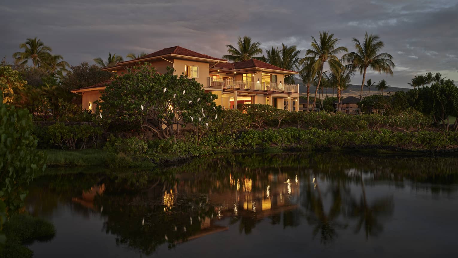 Exterior view of private villa surrounded by tropical palm trees at dusk