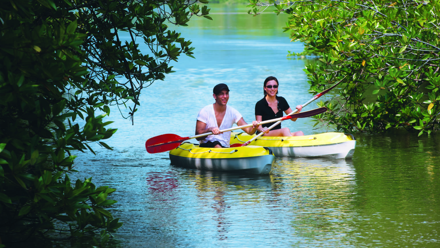 Two people with paddles in yellow kayaks pass through trees on water 