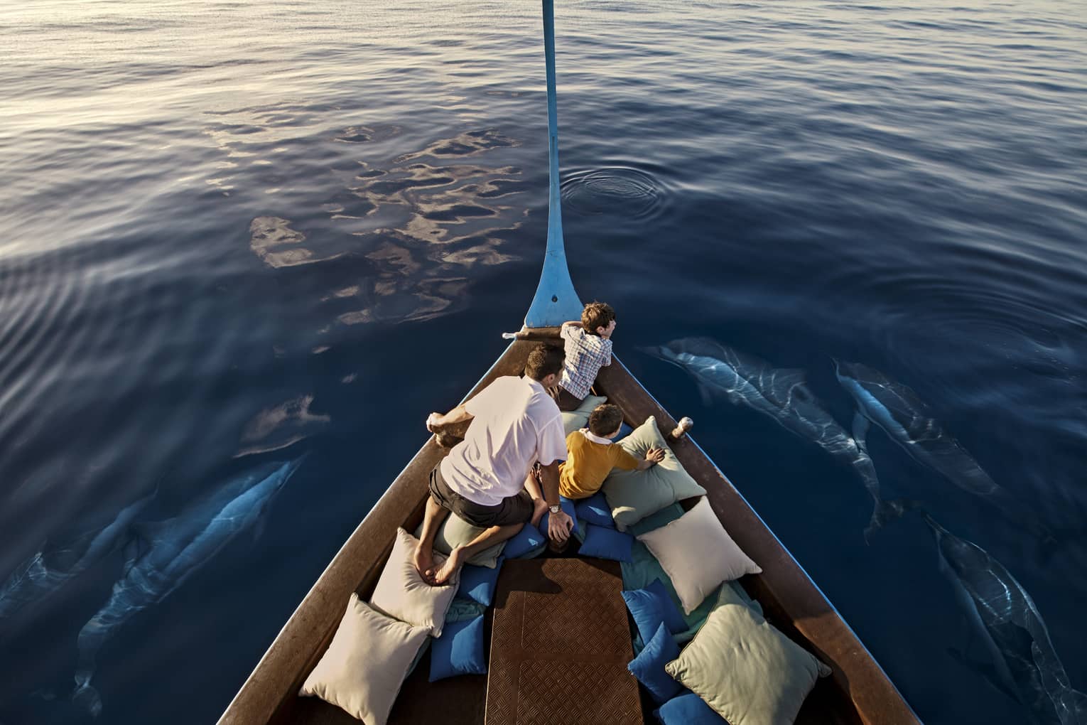 A man and two boys sit in a boat lined with blue and white pillows as dolphins swim around them