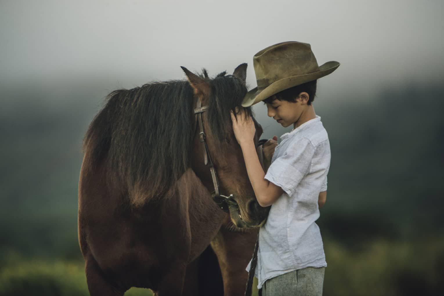 A young boy in a cowboy hat petting a horse in an open field