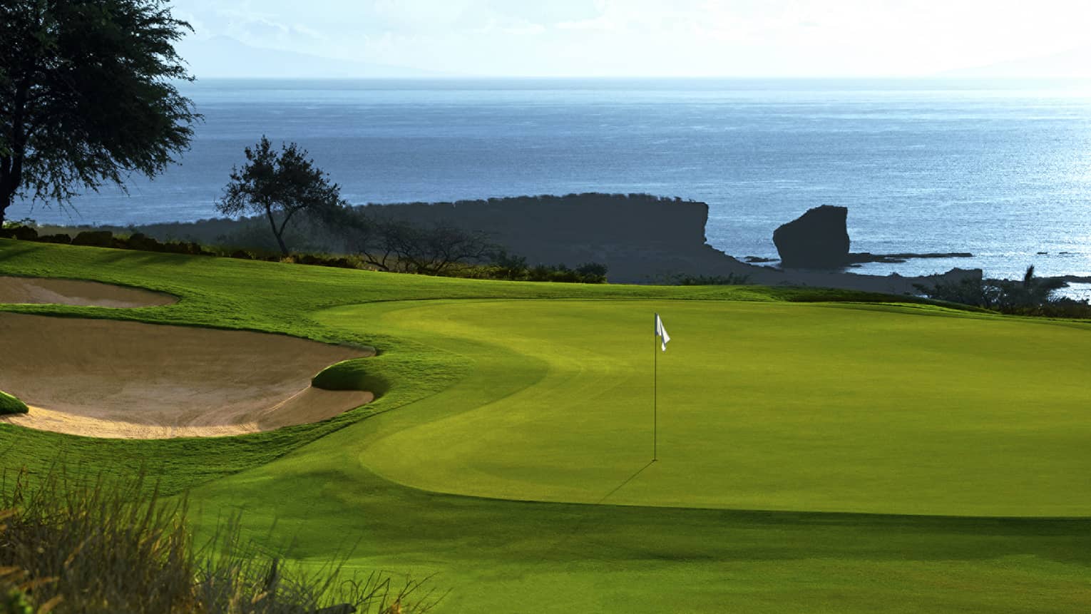 Golf course and tree beside ocean