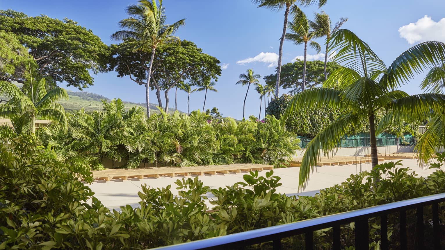 Tropical outdoor area with lush greenery, palm trees and a sandy pathway under a clear blue sky