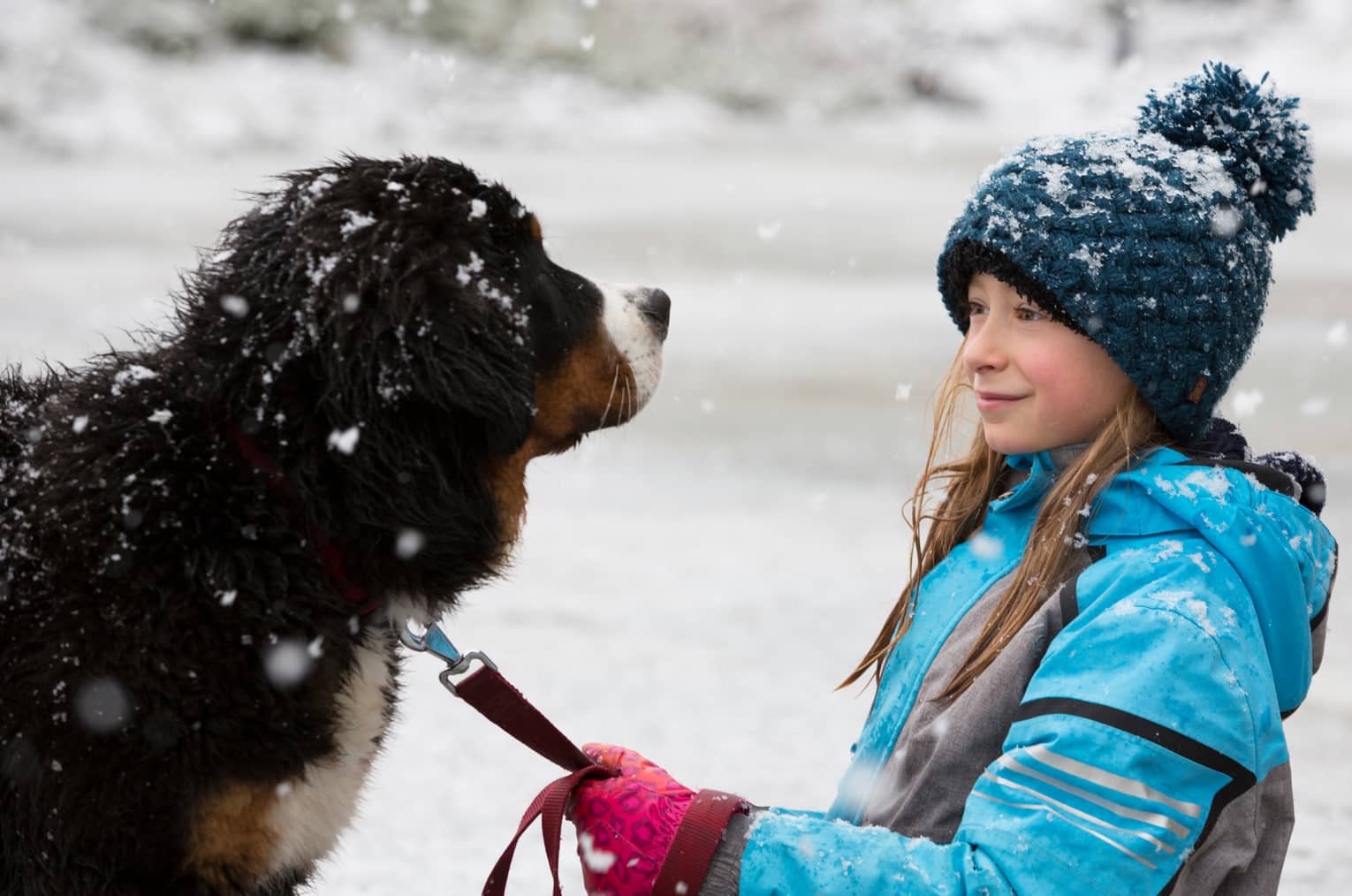 Young girl with knit hat holds leash of large dog as snow falls