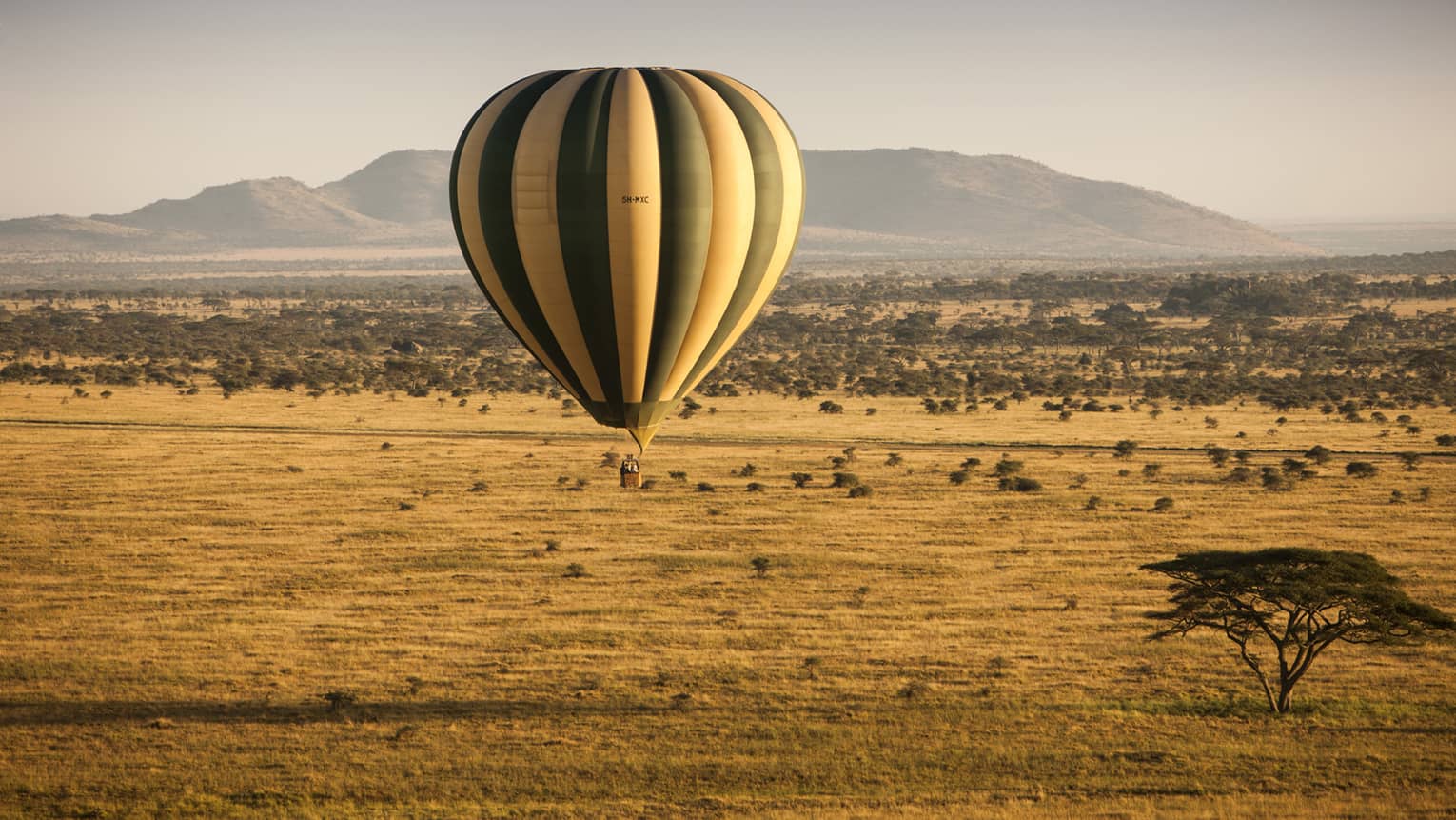 Stripped hot air balloon hovers over landscape of Serengeti, mountain in background 