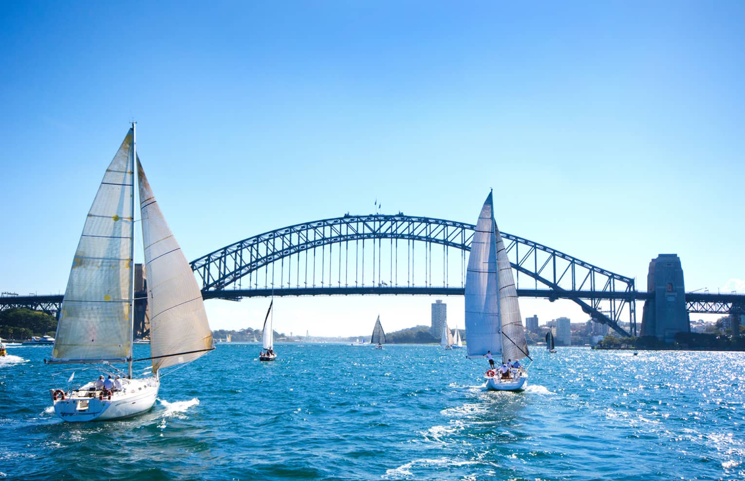 White sailboats, bridge in Sydney Harbour against clear blue sky